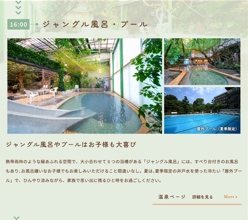 ジャングル風呂・プール